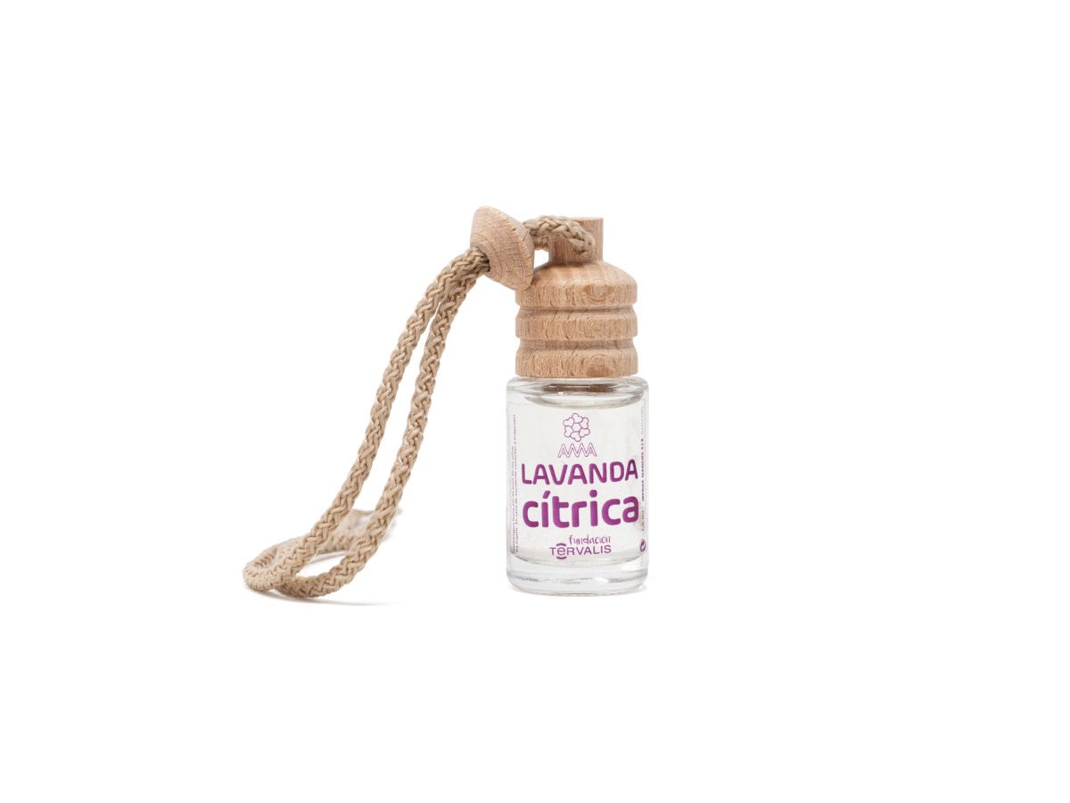 Ambicar lavanda cítrica